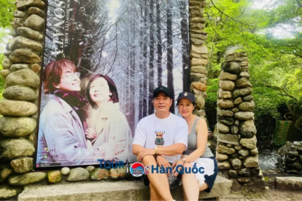 Tour du lịch Hàn Quốc Seoul - Đảo Nami - Everland - Myeongdong