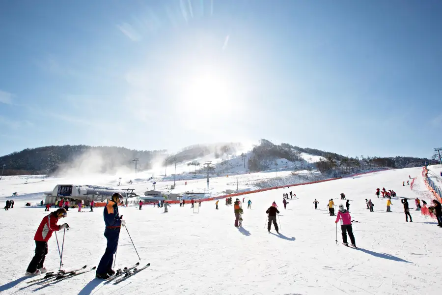 Alpensia Ski Resort – lựa chọn nhẹ nhàng cho gia đình