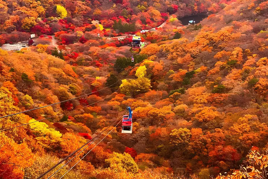 Cáp treo Naejangsan