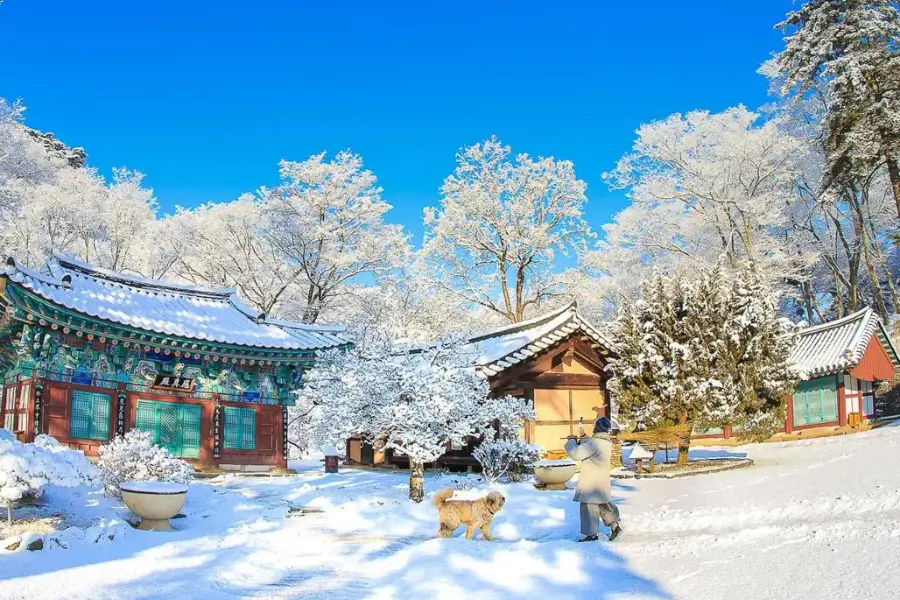 Du Lịch Hàn Quốc Dịp Tết – Trải Nghiệm Seollal & Không Khí Mùa Đông Tuyết Trắng