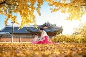 Du Lịch Hàn Quốc Mùa Lá Đỏ Đi Đâu, Mặc Gì, Lịch Trình