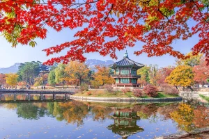 Du Lịch Hàn Quốc Mùa Thu Thời Tiết Và Thời Điểm Đẹp Nhất