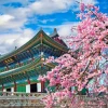 Du lịch Hàn Quốc - Cung điện Gyeongbok