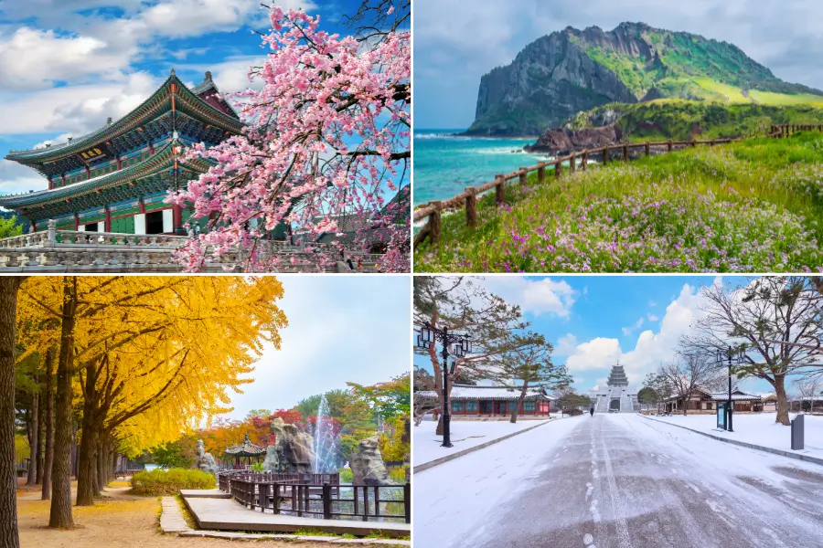 Gợi ý chương trình tour Hàn Quốc theo mùa