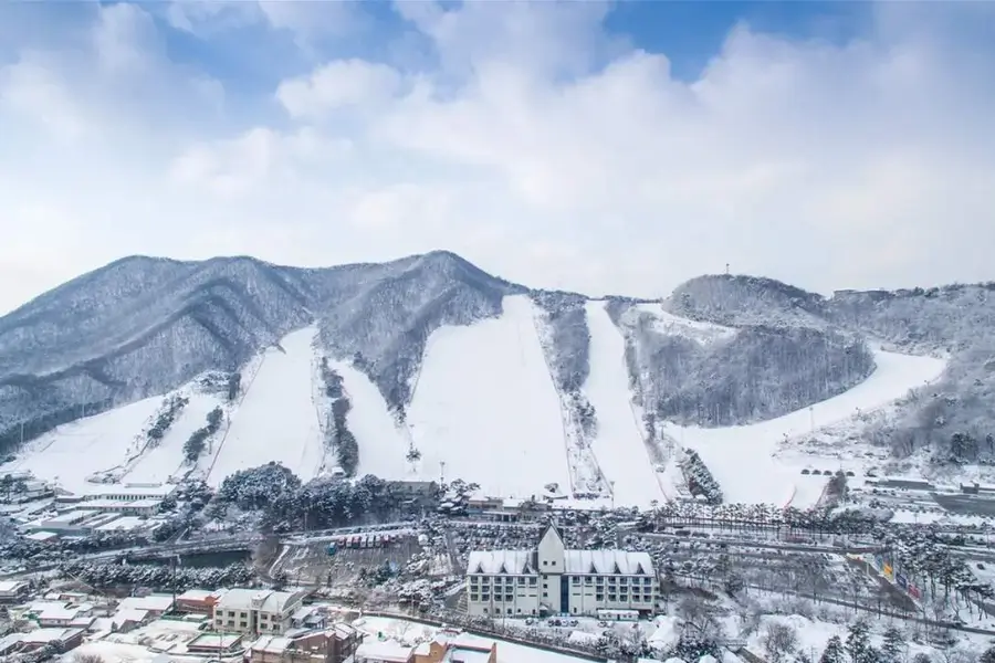 Jisan Forest Ski Resort – lịch trình trượt tuyết ngắn gọn từ Seoul