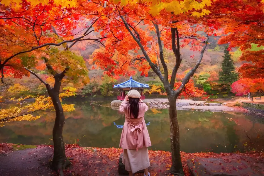Lịch trình đi Naejangsan