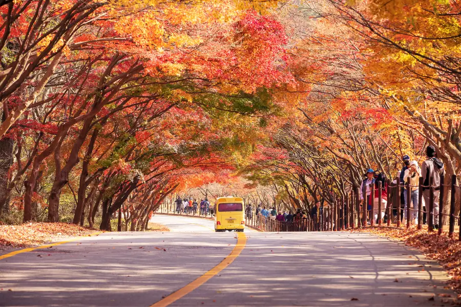 Naejangsan mùa thu đẹp nhất vào tháng mấy