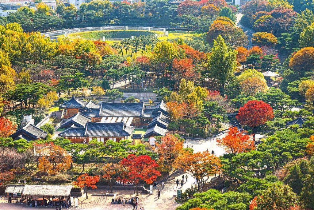 Tour Hàn Quốc