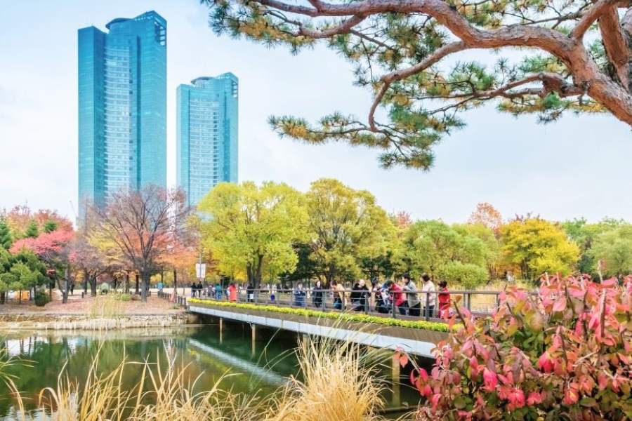 Seoul Forest