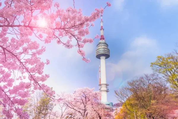 Tháp Namsan Seoul trong hành trình tour Hàn Quốc