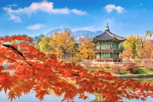 Top Địa Điểm Ngắm Lá Vàng, Lá Đỏ Đẹp Nhất Seoul Mùa Thu