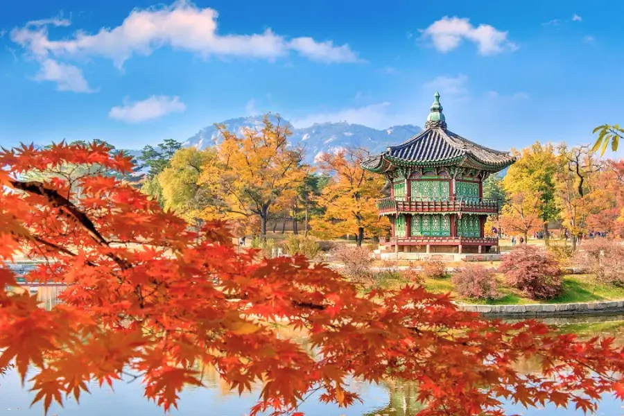 Top Địa Điểm Ngắm Lá Vàng, Lá Đỏ Đẹp Nhất Seoul Mùa Thu