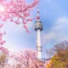 Tour Du Lịch Hàn Quốc Cung Đường Mùa Xuân Ngắm Hoa Anh Đào 2024