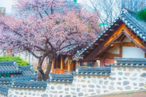 Tour Du Lịch Hàn Quốc - Làng văn hóa Namsangol Hanok