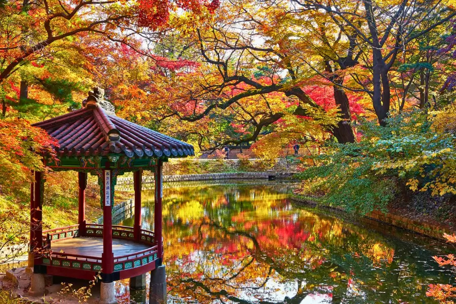 Tour Du Lịch Hàn Quốc Mùa Thu Khu Vườn Bí Mật Huwon Tour Du Lịch Hàn Quốc Mùa Thu Khu Vườn Bí Mật Huwon