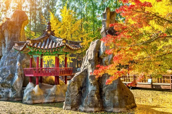 Tour Du Lịch Hàn Quốc Mùa Thu No Shopping Seoul Free Day – Nami
