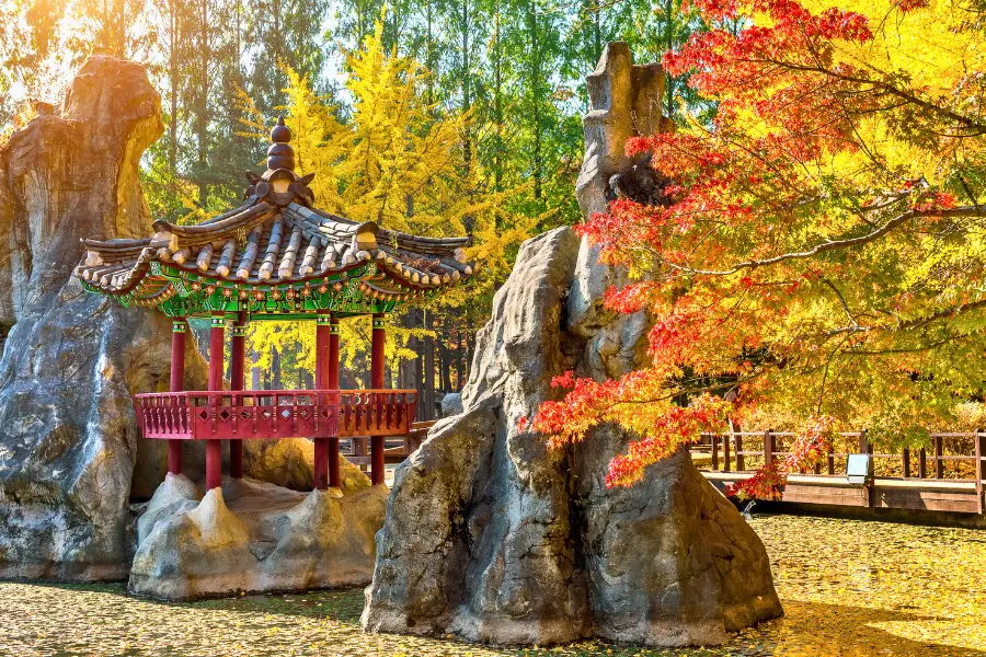 Tour Du Lịch Hàn Quốc Mùa Thu No Shopping: Seoul Free Day – Nami