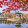 Tour Du Lịch Hàn Quốc