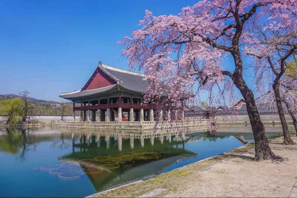 Tour Du Lịch Hàn Quốc Seoul – Nami – Namsan Tower - Heulpark - Everland (5N4Đ)