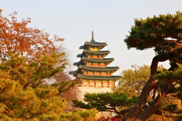 Tour Hàn Quốc Mùa Thu Bảo tàng Dân gian Quốc gia Hàn Quốc