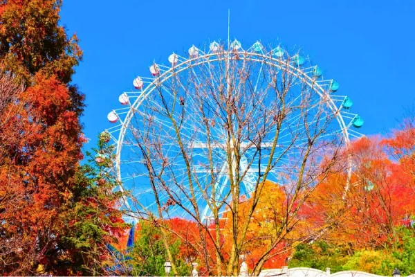 Tour Hàn Quốc Mùa Thu Công viên giải trí Everland