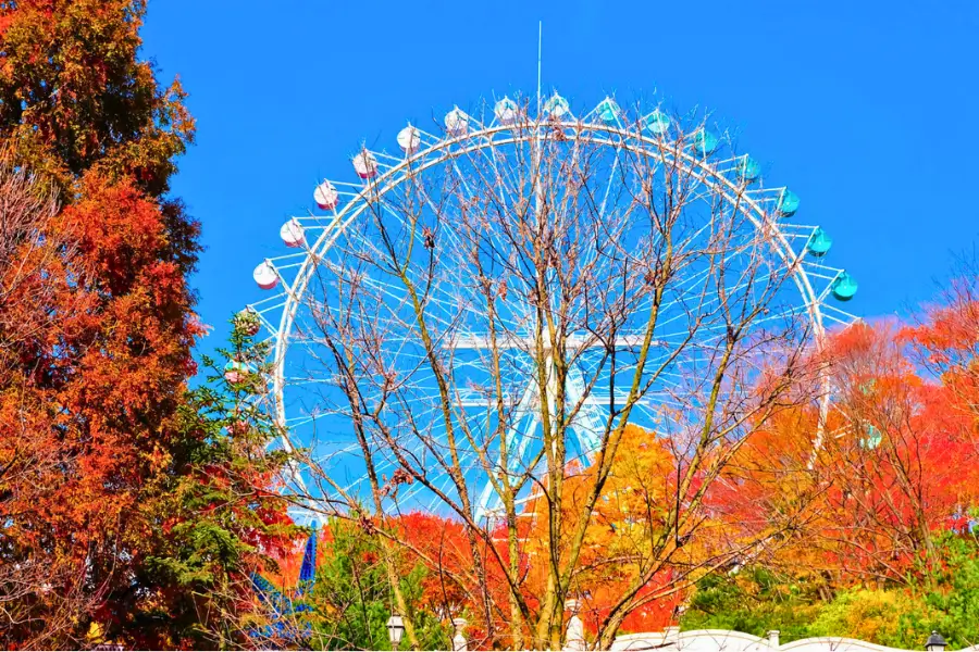 Tour Hàn Quốc Mùa Thu Công viên giải trí Everland Tour Hàn Quốc Mùa Thu Công viên giải trí Everland