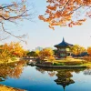 Tour Hàn Quốc Mùa Thu Seoul - Nami - Everland - Namsangol Hanok
