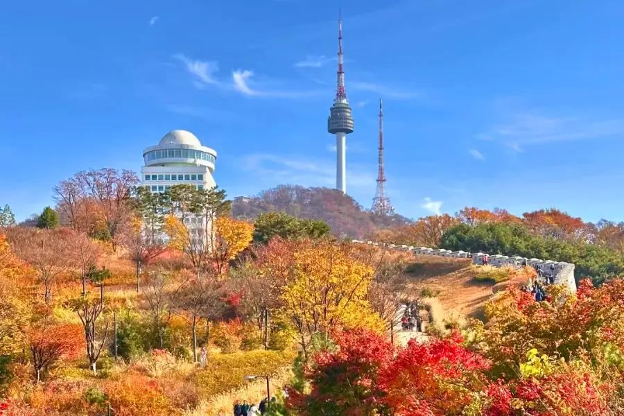 Tour Hàn Quốc Mùa Thu Tháp Namsan (N Seoul Tower) Tour Hàn Quốc Mùa Thu Tháp Namsan (N Seoul Tower)