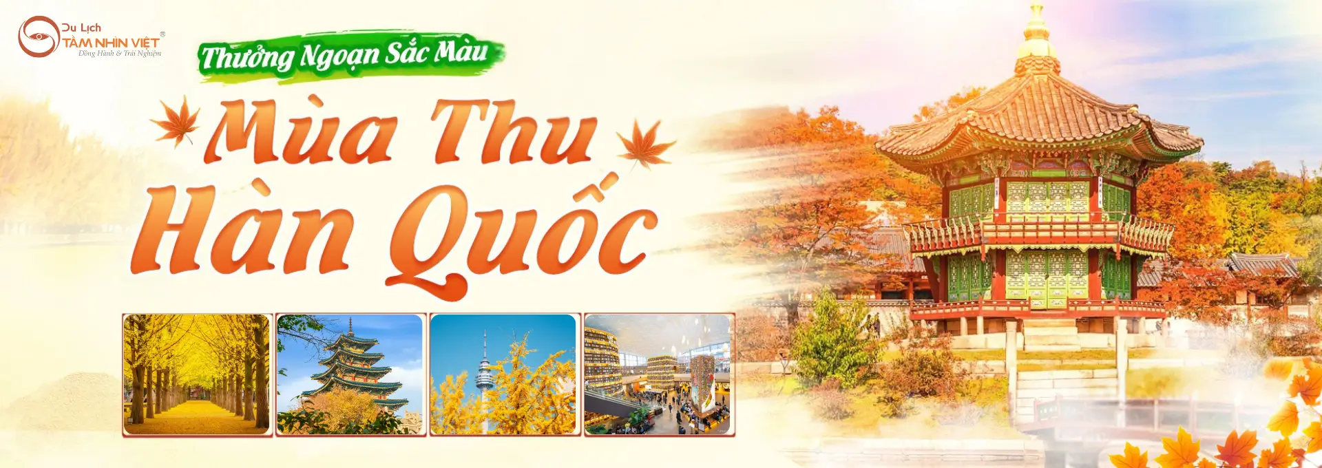 tour Hàn Quốc