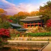 Tour Hàn Quốc No Shopping Seoul Free Day – Nami 6 Ngày 5 Đêm