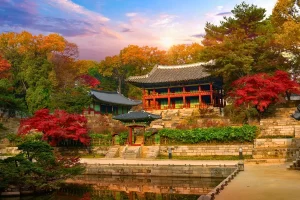 Tour Hàn Quốc No Shopping Seoul Free Day – Nami 6 Ngày 5 Đêm