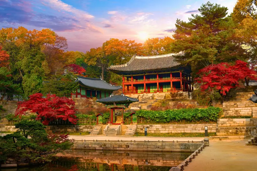Tour Hàn Quốc No Shopping: Seoul Free Day – Nami 6 Ngày 5 Đêm