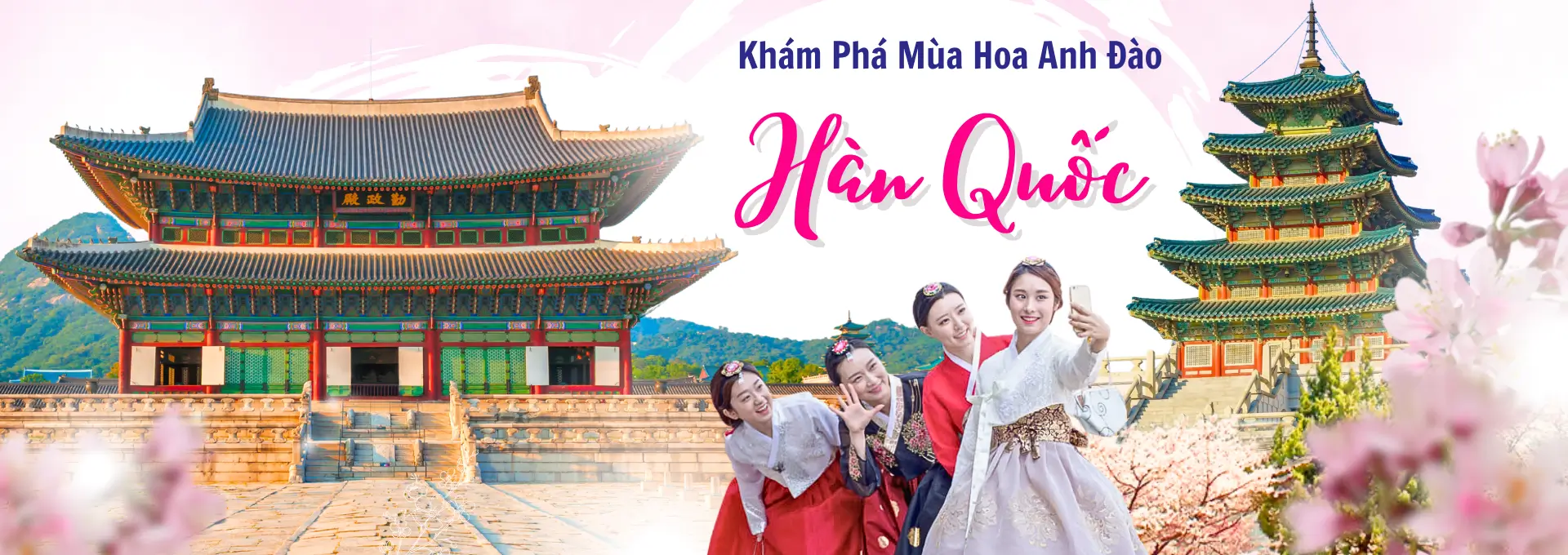 Tour du lịch Hàn Quốc mùa hoa anh đào