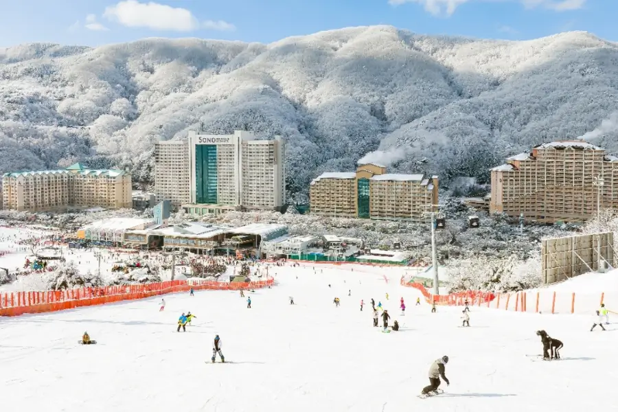 Vivaldi Park Ski World – khu trượt tuyết sôi động gần Seoul
