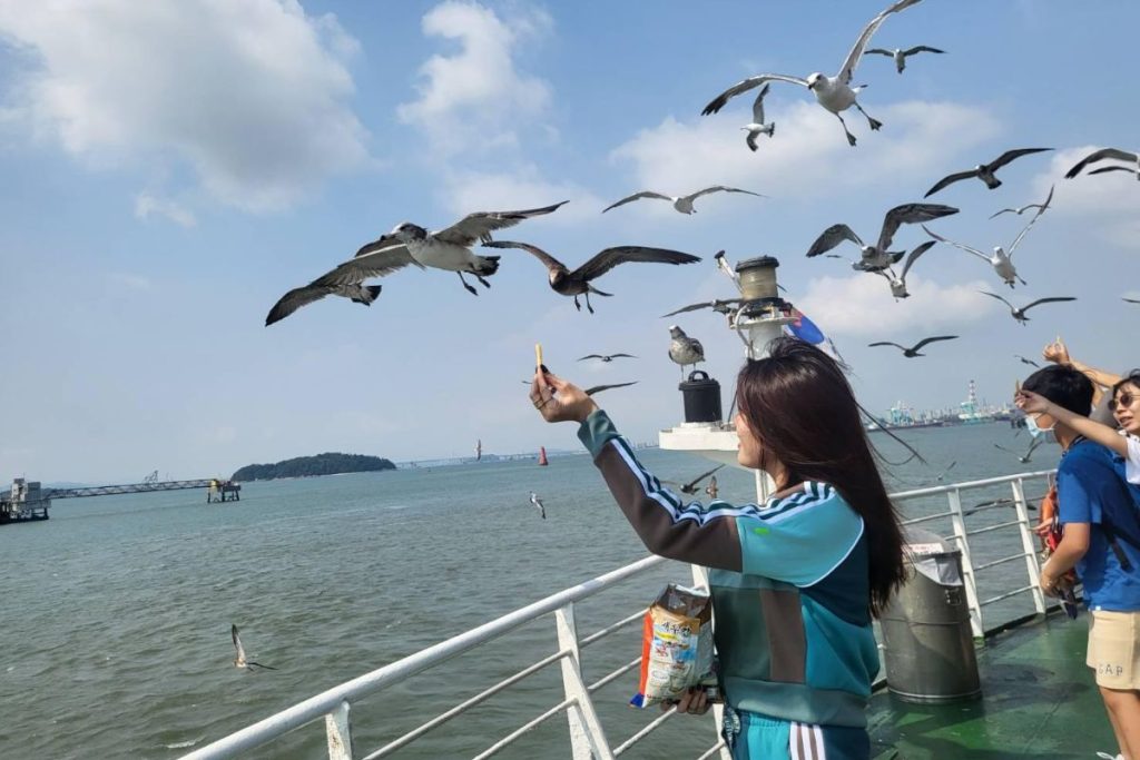 Tour Hàn Quốc