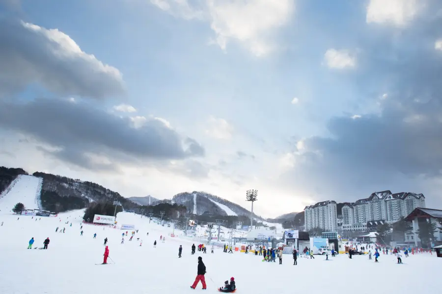 Jisan Forest Ski Resort – lịch trình trượt tuyết ngắn gọn từ Seoul