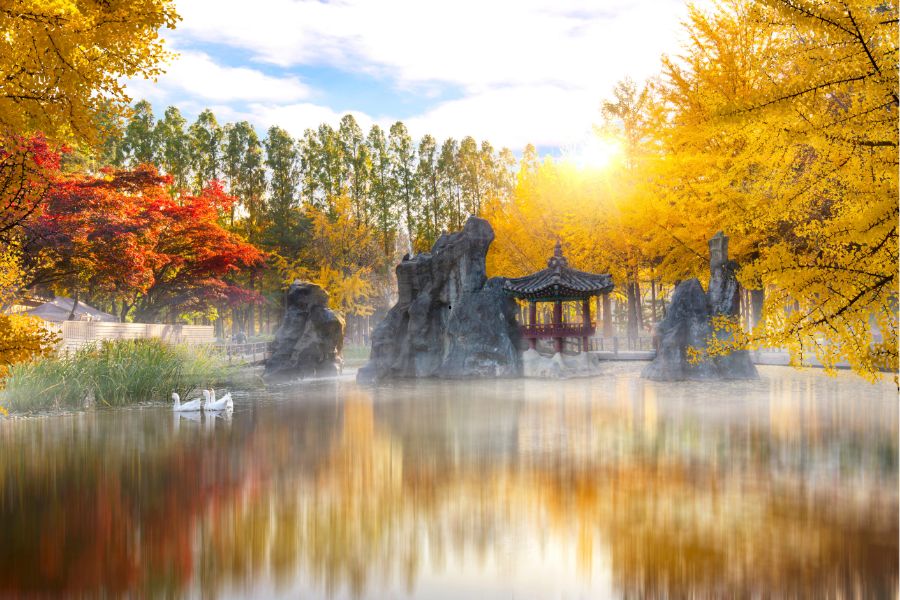 Tour Hàn Quốc
