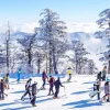 tour Hàn Quốc Busan Seoul trượt tuyết Elysian Gangchon 6 ngày 5 đêm