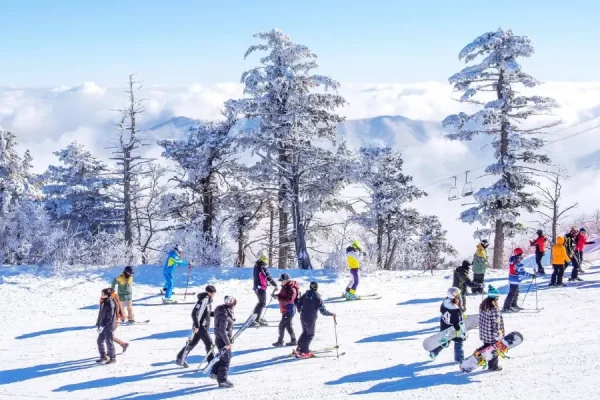 tour Hàn Quốc Busan Seoul trượt tuyết Elysian Gangchon 6 ngày 5 đêm