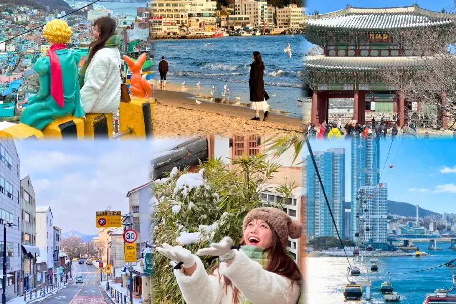 tour Hàn Quốc không điểm mua sắm bắt buộc